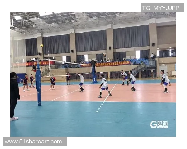 杭州排球队最新排球比赛经验分享TOP10助力球队提升竞技水平